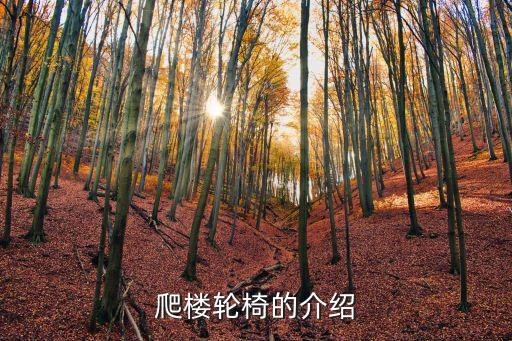 能上樓梯的輪椅，我想買一個(gè)輪椅可以方便上下樓的要輕便些的平時(shí)不在家怕老