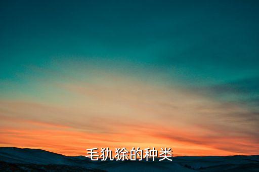 毛犰狳的種類