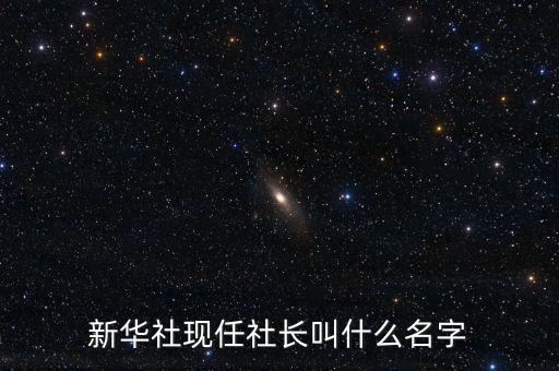 新華社社長，新華社社長的名字是什么