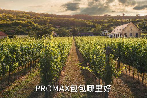 九帶犰狳，PROMAX包包哪里好