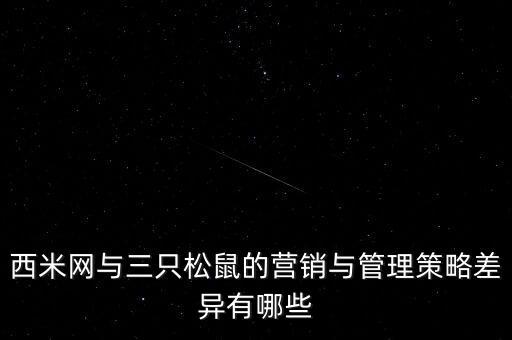 西米網(wǎng)，西米網(wǎng)與三只松鼠的營銷與管理策略差異有哪些