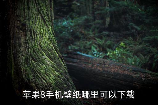 蘋果8手機壁紙哪里可以下載