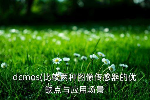 dcmos(比較兩種圖像傳感器的優(yōu)缺點(diǎn)與應(yīng)用場(chǎng)景