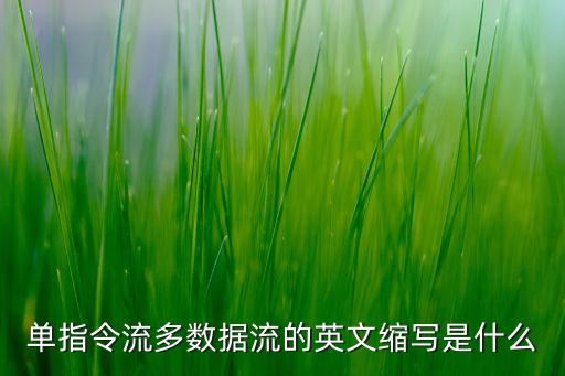 單指令流多數(shù)據(jù)流的英文縮寫是什么