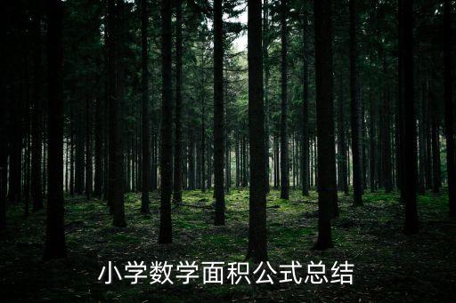 小學數(shù)學面積公式總結