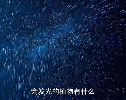 會發(fā)光的植物有什么