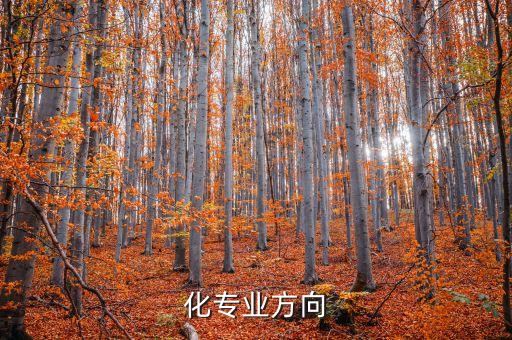 自動(dòng)化專業(yè)改造,電氣自動(dòng)化技術(shù)簡介