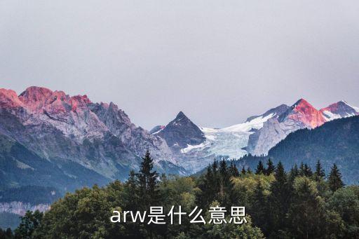 arw，我想知道ARW是啥