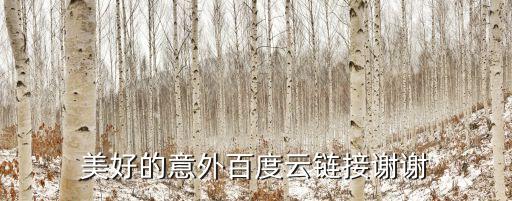 美好的意外百度云鏈接謝謝