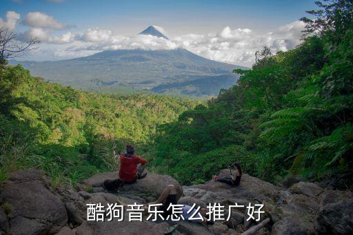 音樂app推廣，推廣網(wǎng)易云播放量哪可以