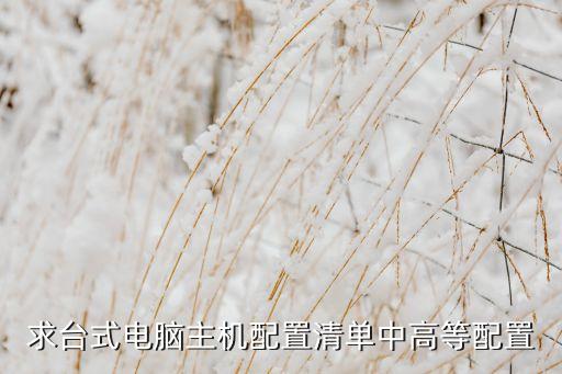 求臺式電腦主機配置清單中高等配置