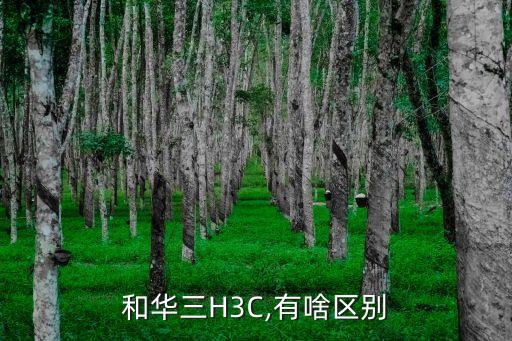 華三和華為的關(guān)系,華為和H3C是一家嗎?