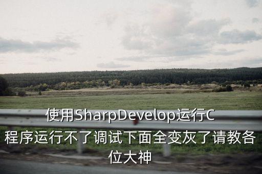 使用SharpDevelop運(yùn)行C程序運(yùn)行不了調(diào)試下面全變灰了請(qǐng)教各位大神