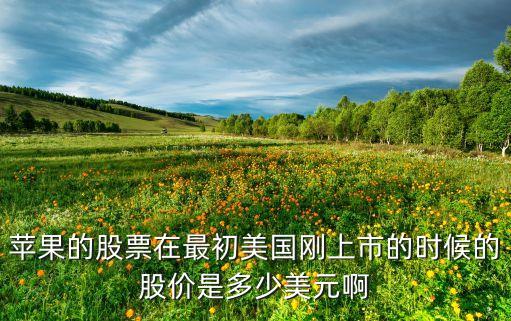 蘋果美股，蘋果的股票在最初美國剛上市的時候的股價是多少美元啊