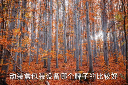動(dòng)裝盒包裝設(shè)備哪個(gè)牌子的比較好