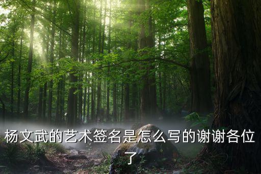 楊文武的藝術(shù)簽名是怎么寫的謝謝各位了