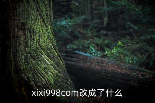 xixi998com改成了什么