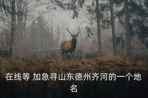 在線等 加急尋山東德州齊河的一個(gè)地名