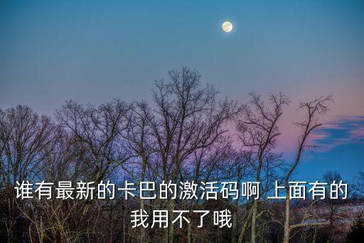 誰有最新的卡巴的激活碼啊 上面有的我用不了哦