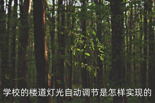自動(dòng)化設(shè)備能不能遙控,電力系統(tǒng)自動(dòng)化設(shè)備有哪些?