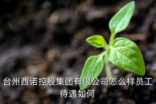 臺州西諾控股集團有限公司怎么樣員工待遇如何