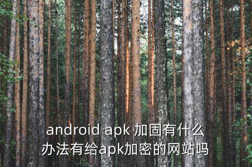 android apk 加固有什么辦法有給apk加密的網(wǎng)站嗎