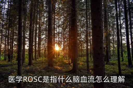 醫(yī)學(xué)ROSC是指什么腦血流怎么理解