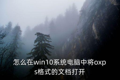 oxps，打不開oxps文件windows7 系統(tǒng) 已經(jīng)更新了2732059求大神破