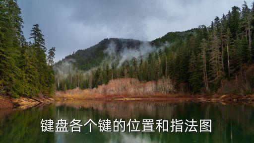 鍵盤(pán)各個(gè)鍵的位置和指法圖