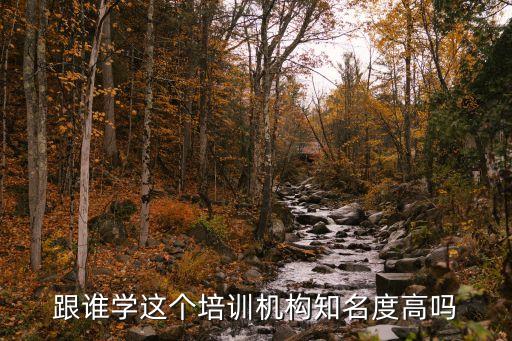 跟誰學(xué)，跟誰學(xué)的口碑怎么樣