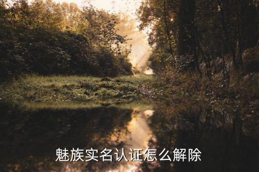 魅族實(shí)名認(rèn)證怎么解除