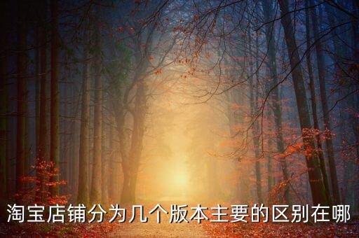 淘寶有幾個(gè)版本，淘寶C店里除了扶植版 標(biāo)準(zhǔn)版 拓展版 旗艦版 還有什么版 各種版本的