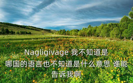 Nagligivage 我不知道是哪國的語言也不知道是什么意思 誰能告訴我啊