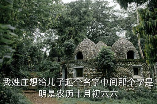 我姓莊想給兒子起個名字中間那個字是明是農(nóng)歷十月初六六