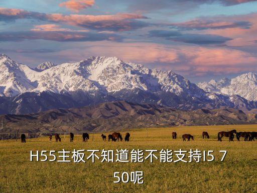 H55主板不知道能不能支持I5 750呢