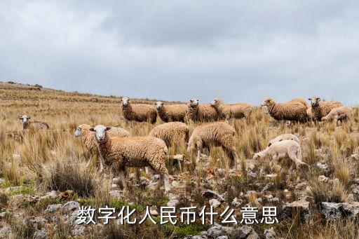 數(shù)字人民幣，數(shù)字化人民幣什么意思