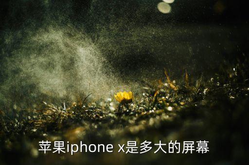 蘋果iphone x是多大的屏幕