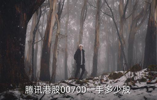 騰訊港股00700一手多少股