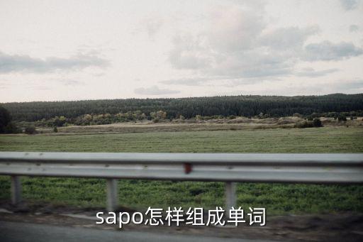 sapo怎樣組成單詞