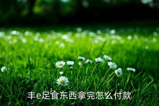豐e足食東西拿完怎么付款