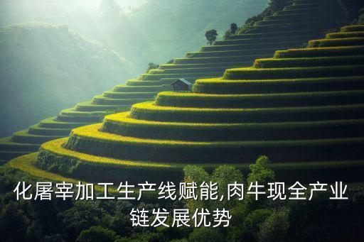 大型自動化屠宰 廠設備,自動屠宰設備多少錢?