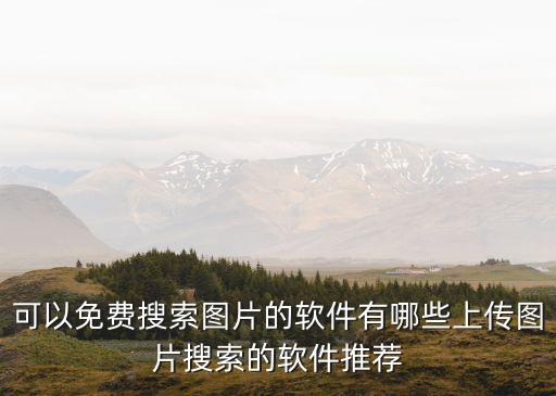 可以免費(fèi)搜索圖片的軟件有哪些上傳圖片搜索的軟件推薦