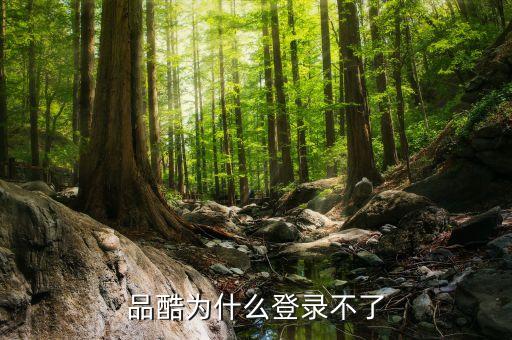 品酷為什么登錄不了