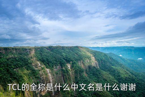 TCL的全稱是什么中文名是什么謝謝