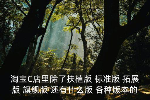 淘寶C店里除了扶植版 標(biāo)準(zhǔn)版 拓展版 旗艦版 還有什么版 各種版本的
