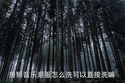 唐獅音樂(lè)潮服怎么洗可以直接洗嘛