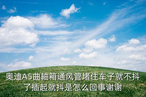 奧迪A5曲軸箱通風管堵住車子就不抖了插起就抖是怎么回事謝謝