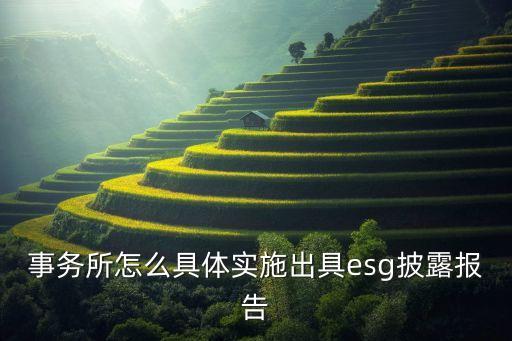 事務(wù)所怎么具體實(shí)施出具esg披露報(bào)告