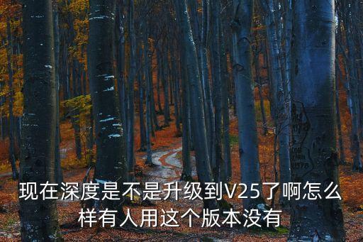 現(xiàn)在深度是不是升級到V25了啊怎么樣有人用這個版本沒有