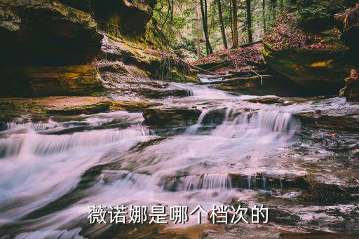 薇若娜，薇諾娜是哪個(gè)檔次的